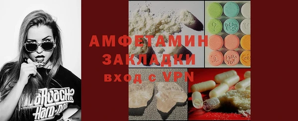 гашик Богданович