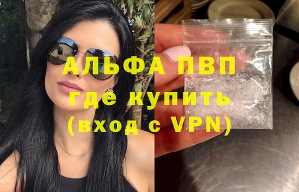 гашик Богданович