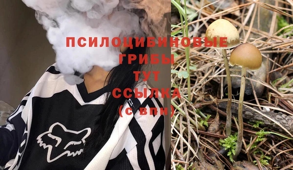 гашик Богданович
