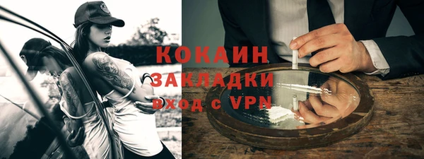 гашик Богданович